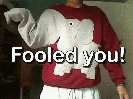 fooled you gif